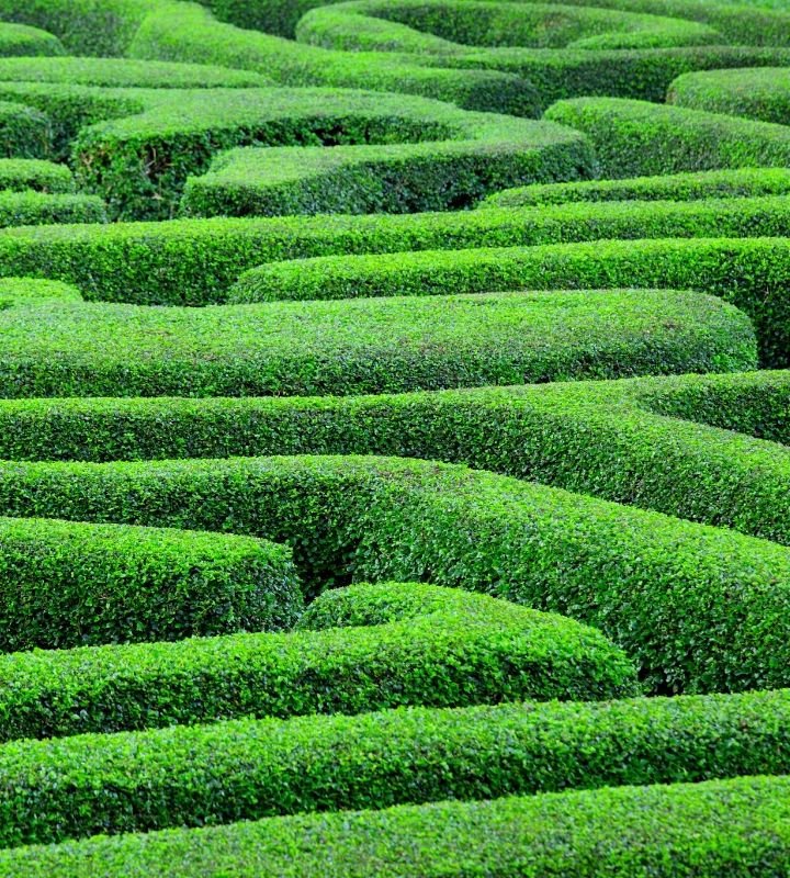 Groen labyrinth